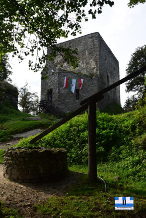 Ruine Wittinghausen / Vítkův kámen