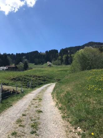 Die Wanderung beginnt in Sonderdorf