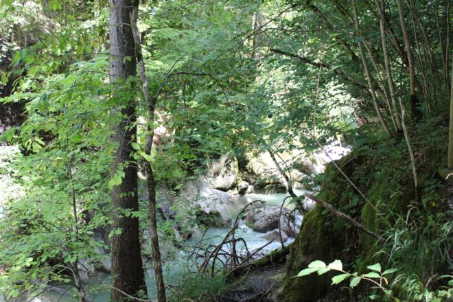 Highlight der Tour: die Engenlochschlucht