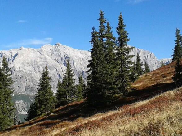 Einzigartiges Panorama