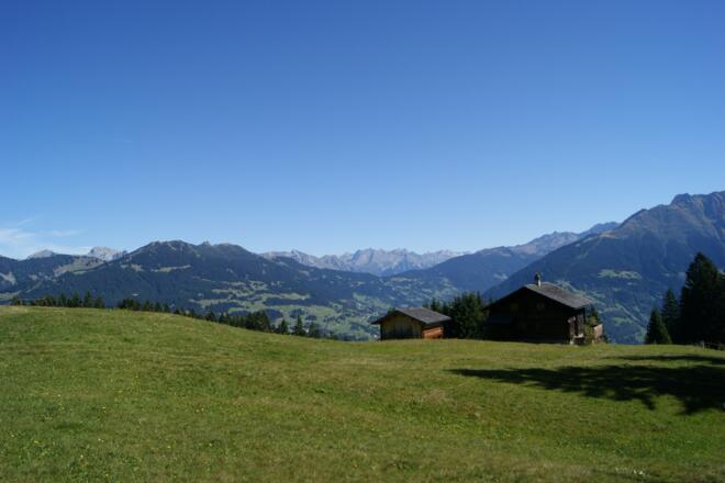 Maisässlandschaft Matschwitz