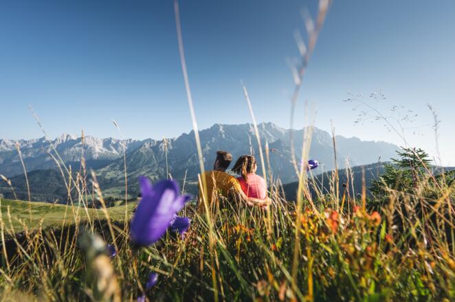 Hinter der Blumenwiese strahlt das Hochkönigmassiv hervor