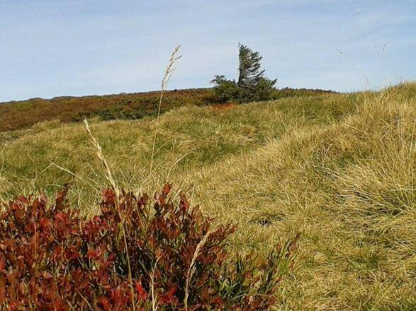 Idyllische Herbstlandschaft