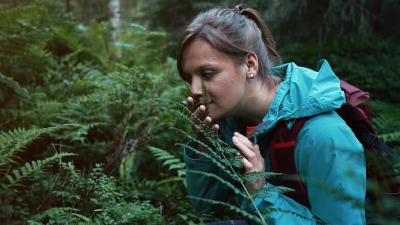 Rundwanderweg Gargellner Fenster im Montafon | Vorarlberg
