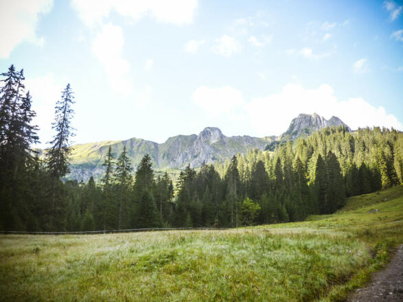 Der Ausblick vom Weg