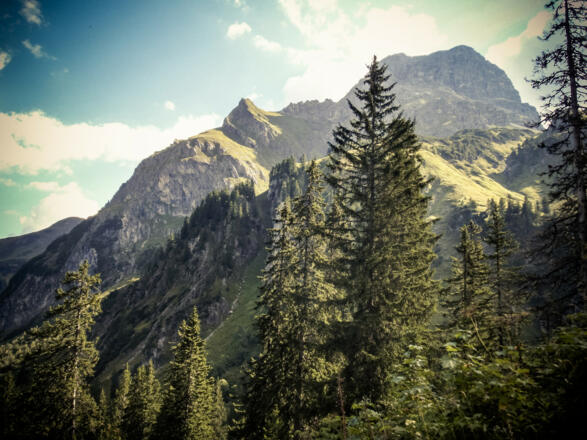 Beim Aufstieg zum Hochalppass immer schön das Ziel im Blick