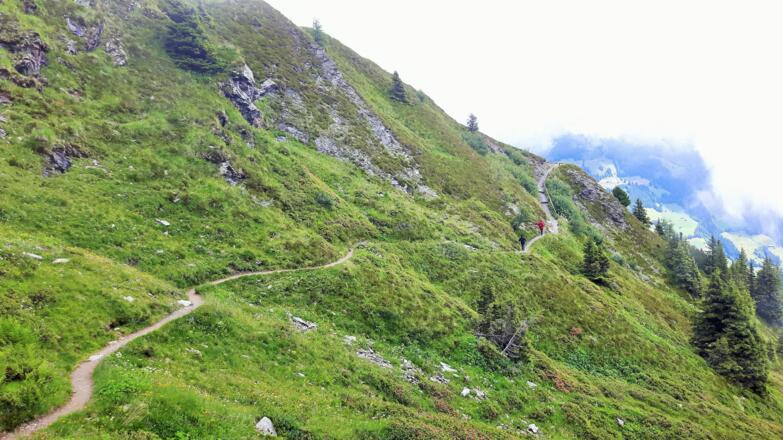 Panoramaweg Wiedersberger Horn Alpbach