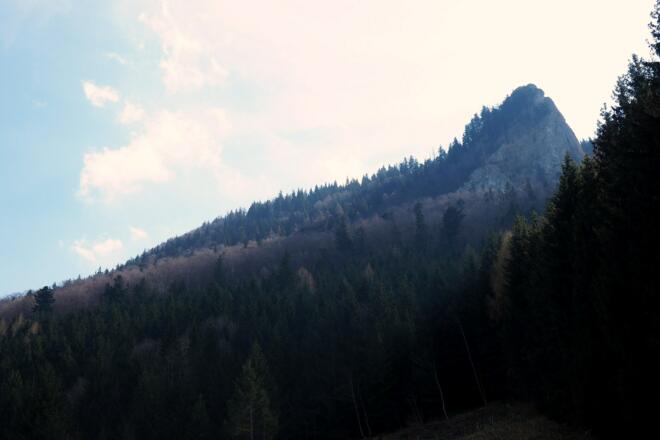 Steinerner Jäger am Rückweg ca. 835m