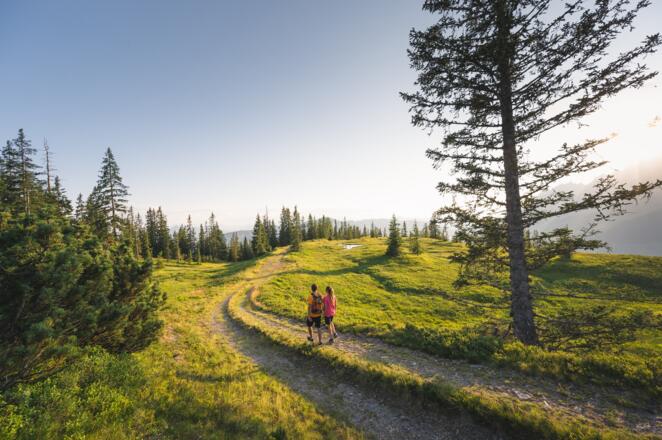 wunderschöne Wiesenpfade führen Sie von Hinterthal nach Mühlbach