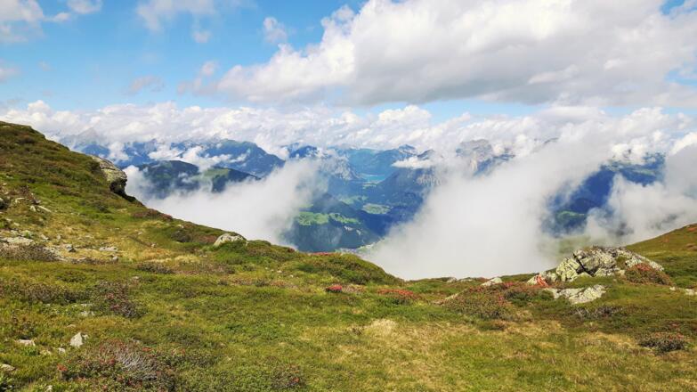 Standkopf Hochstand Blick zum Achensee