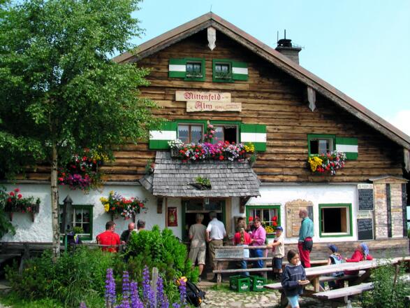 Mitterfeldalm