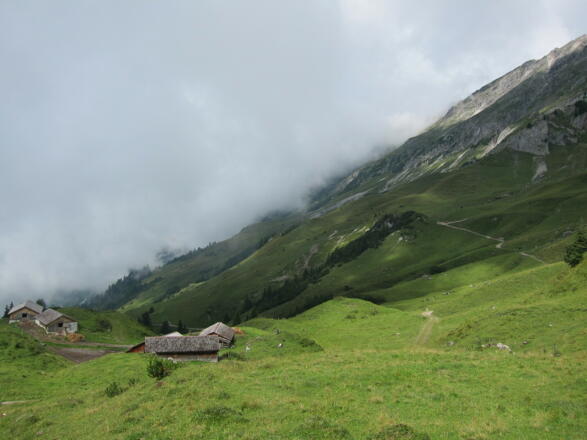 Bei der Hochschere (19. August 2013)