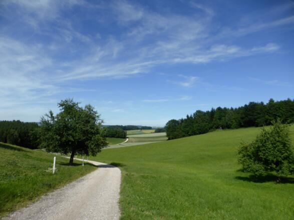 Nicht mehr weit nach Arndorf