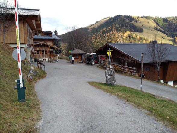 an der Grüneggalm vorbei auf der asphaltierten Straße ins Tal zurück