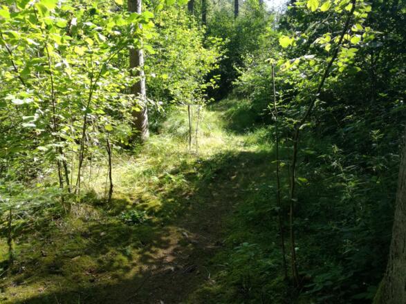 Weiterweg über einen schmalen Steig