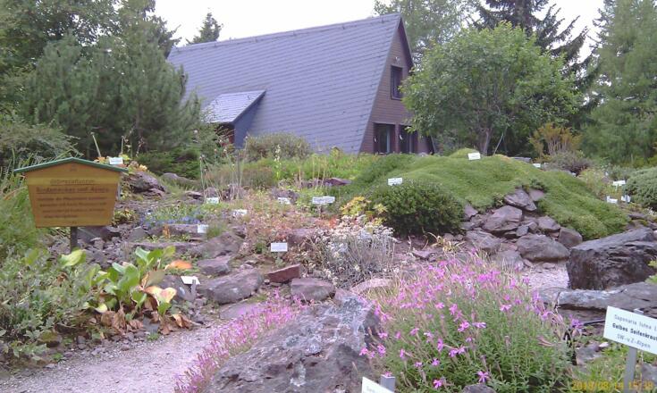 Motiv im Rennsteiggarten