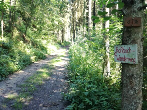 Ein selbst gemachter Wegweiser zeigt den Weiterweg