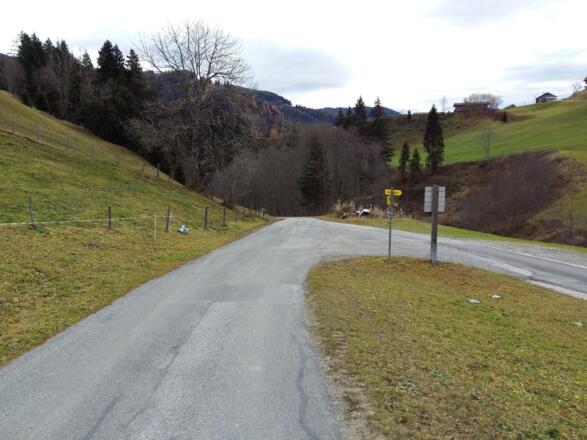 Abzweigung gerade aus folgen in Richtung Grünegg