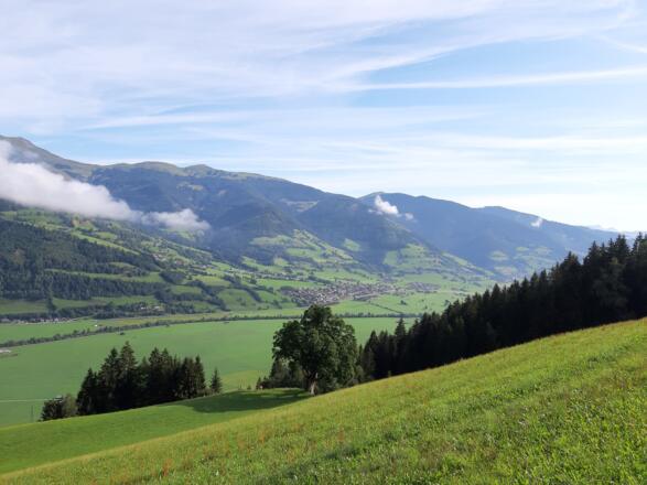 Ausblick oberhalb Grünwald