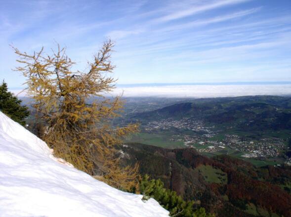 Tiefblick nach Kirchdorf/Krems