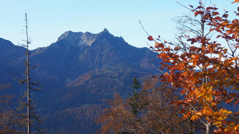 Flachstück 990m, Blick zum Bergwerks- und Rettenkogel