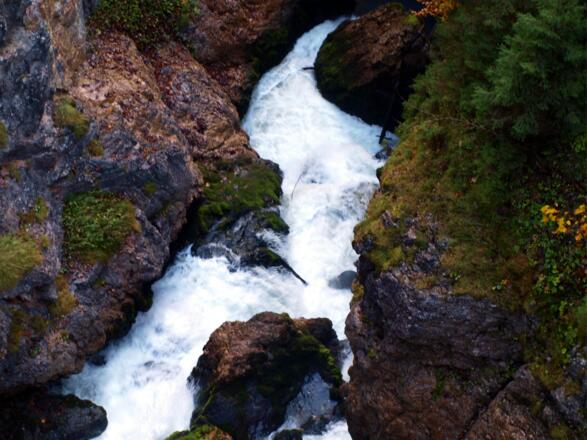 Waldbachstrub von Brücke 800 m