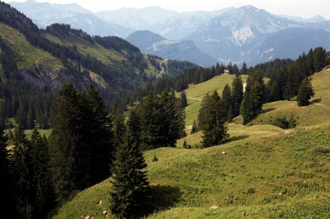 Landschaft im Mellental