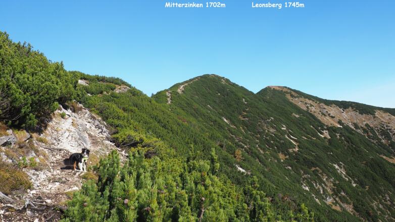 Auf der Zimnitzschneid