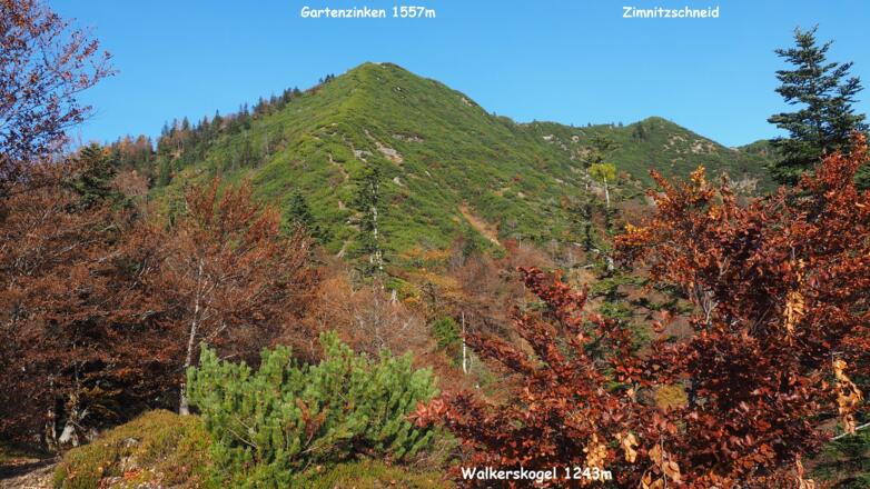 Blick vom Rastplatz Walkerskogel 1243m