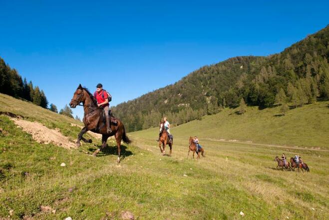 Almboden Dörflmayralm