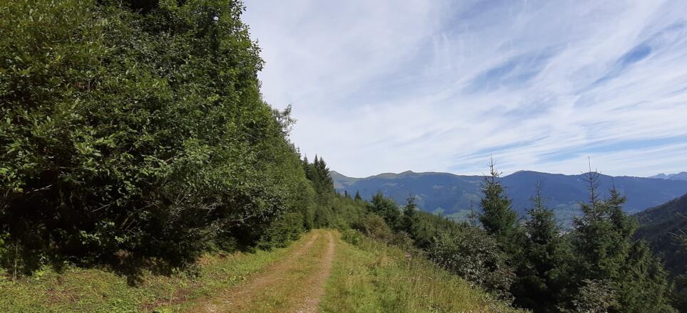Abzweigung - Wanderweg zur Unterbergalm