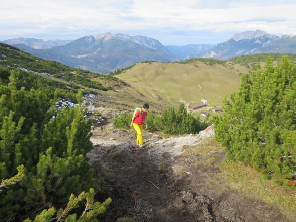 Blick zurück zu Kreuzeinalm und Kreuzeinjoch. Ganz hinten die Guffertspitze (2194 m).