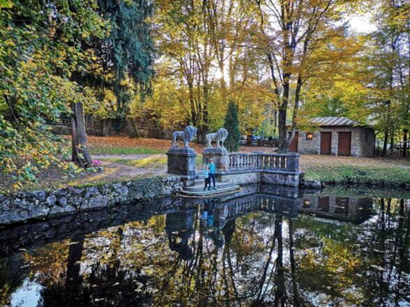 Teich im Matzenpark im Herbst