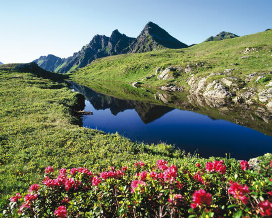 Bergsee und Almrosen Sagtaler Spitzen 