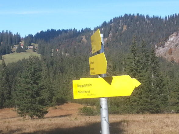 Abzweigung bei Höhe 1433m