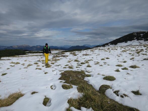 Der erste Herbstschnee bedeckt die Roßwiese.