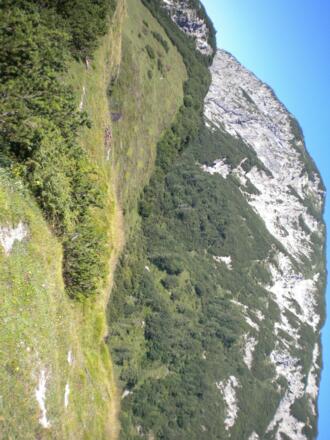 Anstieg vom Ascherkreuz zum Plessenberg