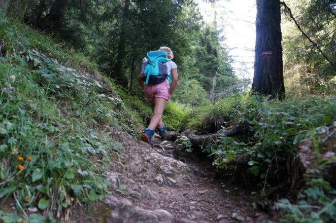 3-Tages-Familientour Auftieg im Wald