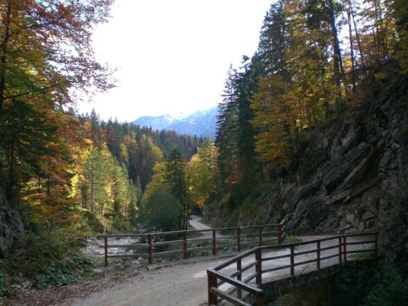 der Geopfad zur Gufferthütte im Ampelsbach-/Filzmoosbachtal