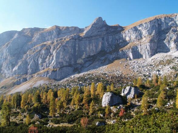 Blick auf das Rofangebirge von den Zireiner Almen aus