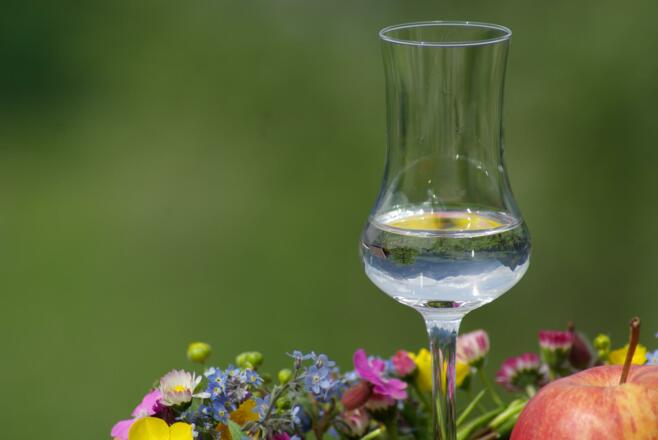 Edelbrand Pinzgerhof Reith i.A.