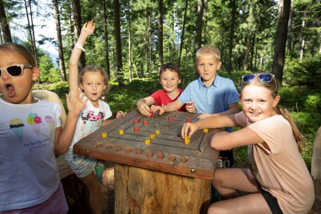 Zauberwald Brettspiel