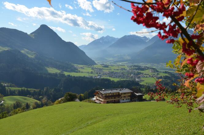 Pinzgerhof Ausblick