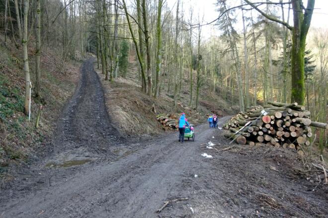 Bei der Kreuzung zeigt der Wegweiser nach oben, wir gehen gerade aus weiter