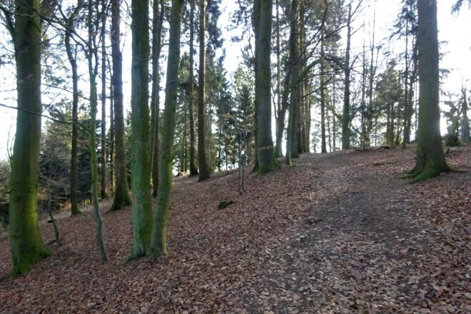 Abstieg vom Mayrhoferberg