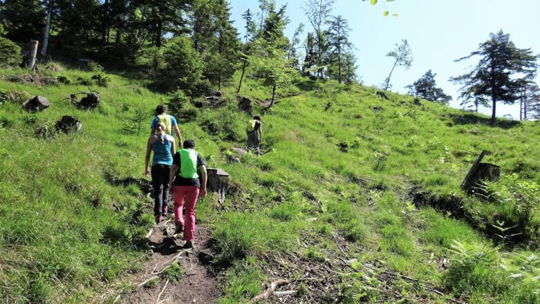 Aufstieg Voldöpper Spitz ab Kramsach