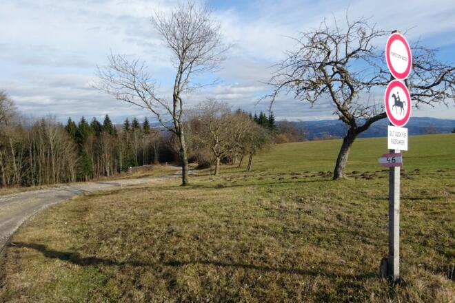 Den Wanderweg 46 entlang durch die Leithen