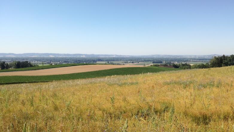 Panoramablick am Rückweg