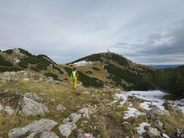 Vom Zireiner See wieder hinauf und direkt auf den Roßkogel zu.