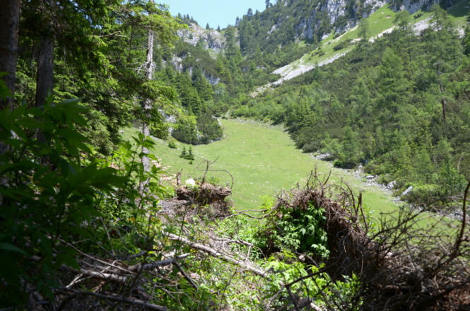 Aufstieg zur Erfurter Hütte